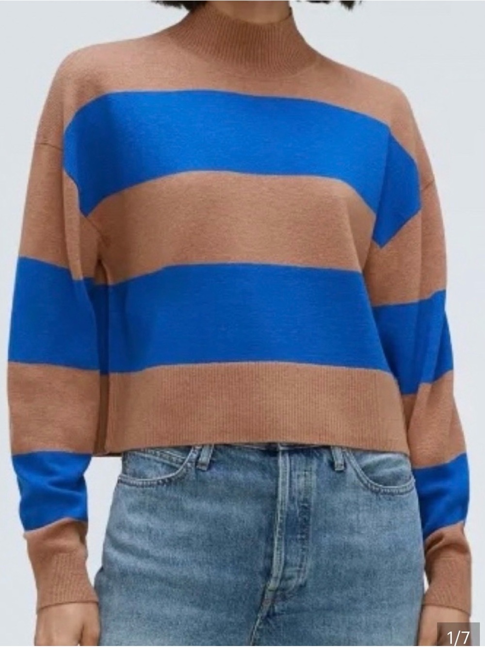 Everlane Alpaca Striped Blue and Tan Mock Neck Sweater